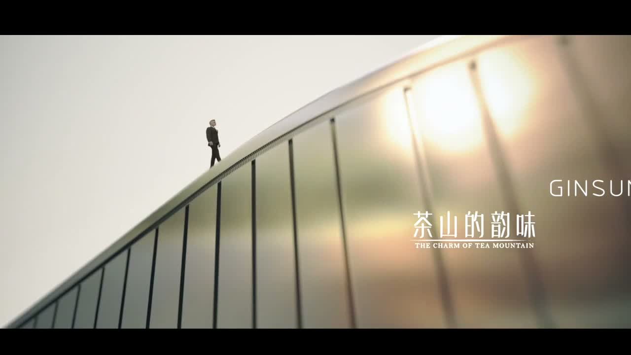 Reference Video