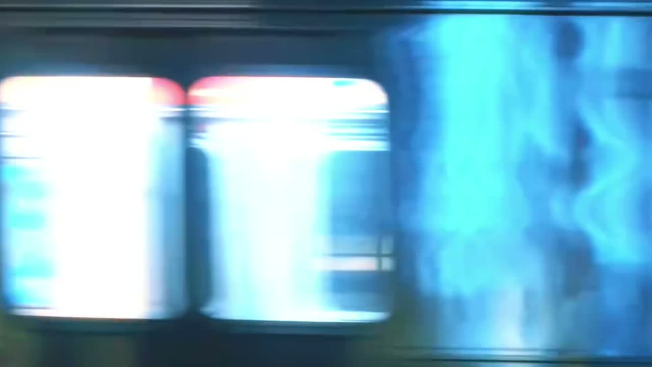 Reference Video