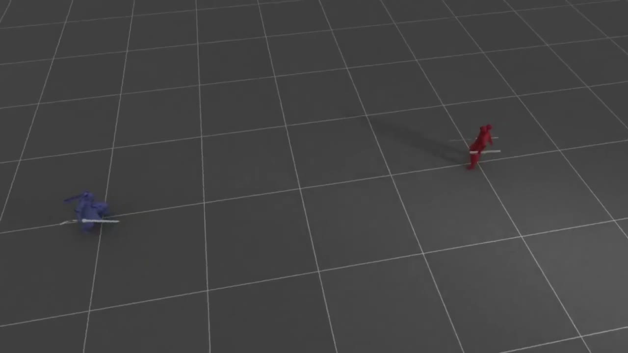 Reference Video