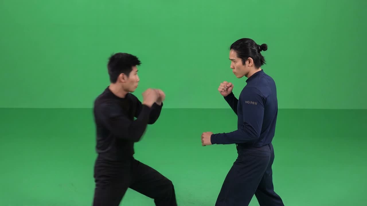 Reference Video