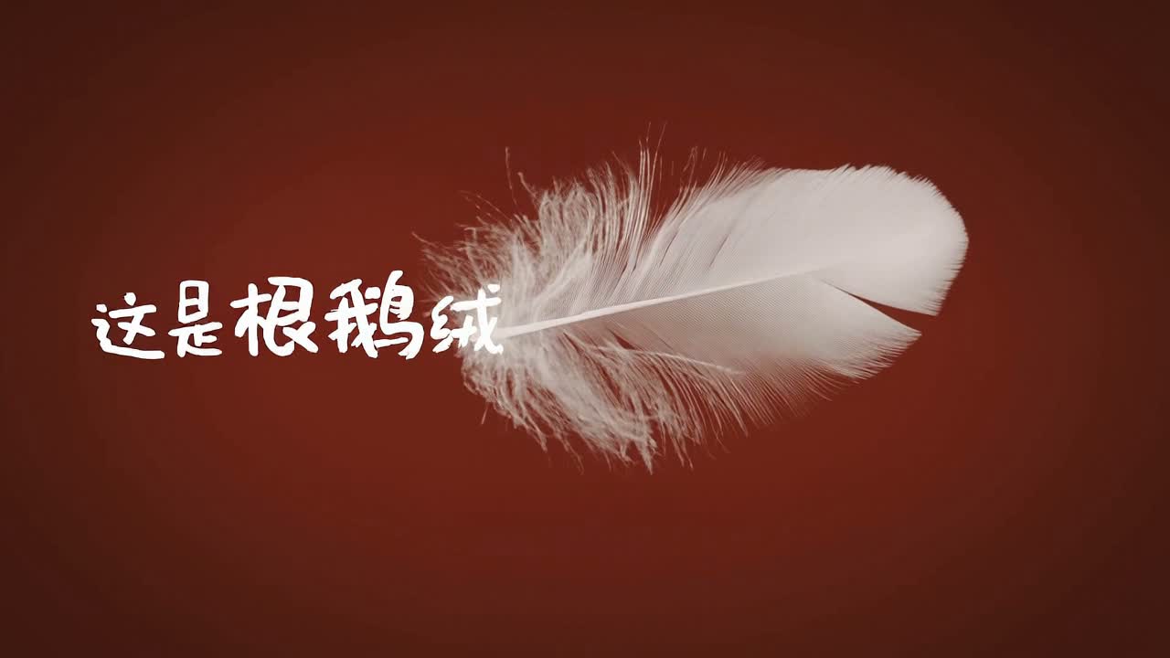 Showcase video preview
