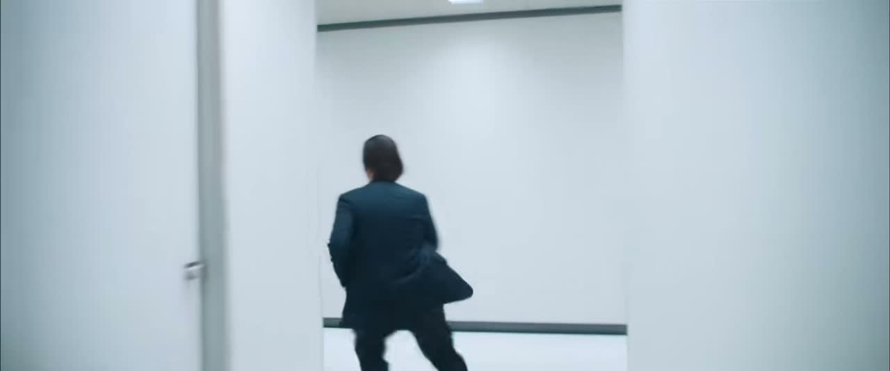 Reference Video