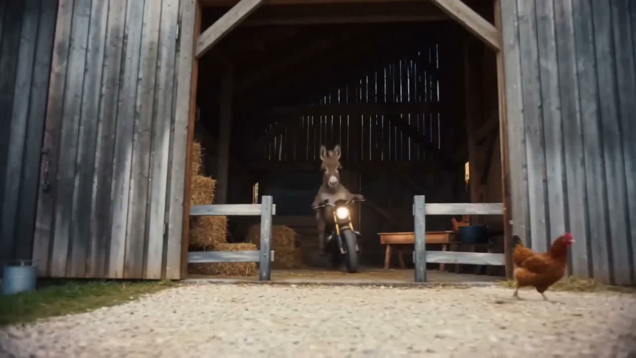 Showcase video preview