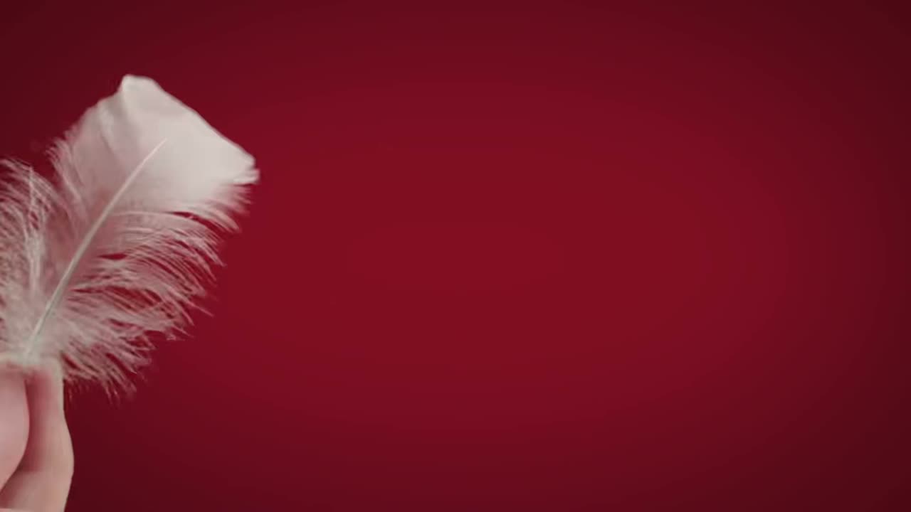 Reference Video