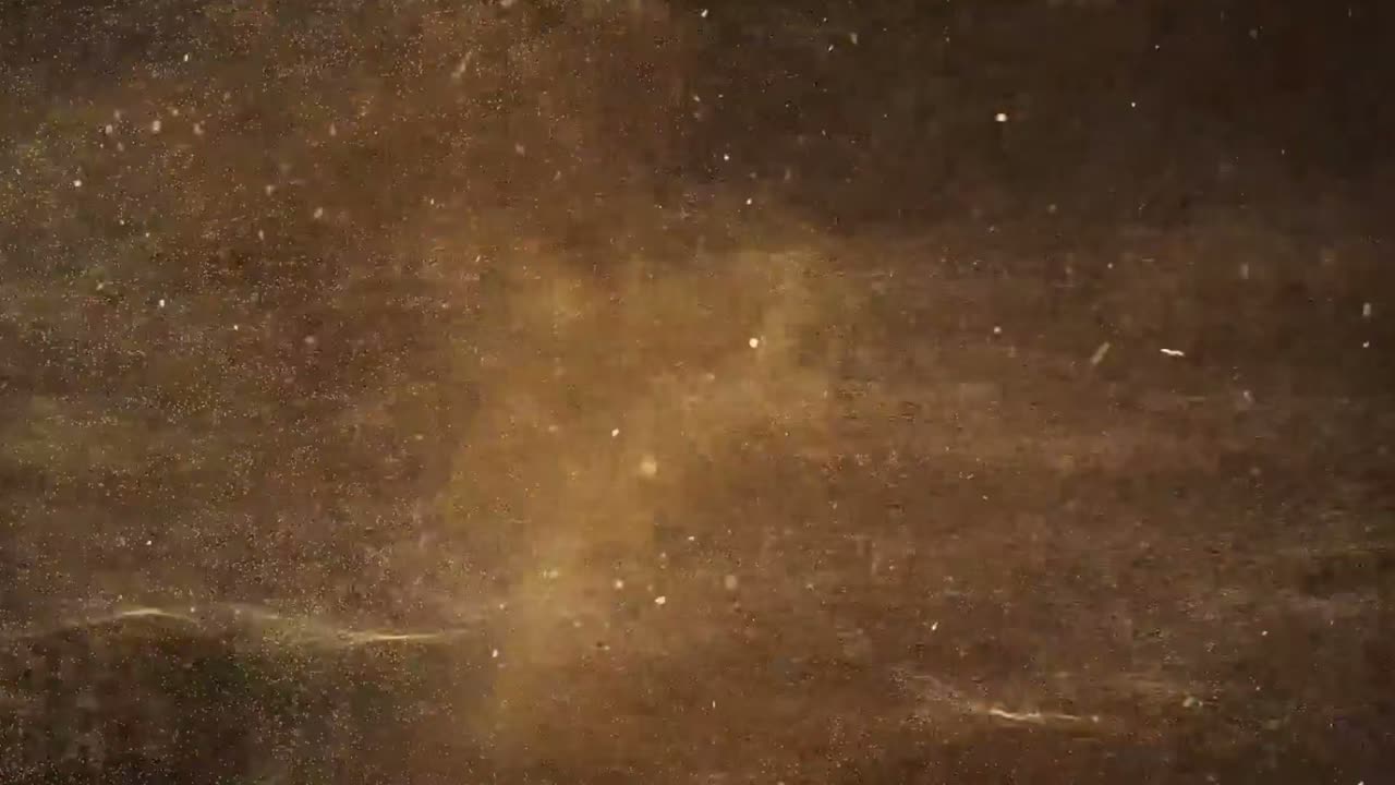 Reference Video